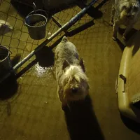 processed/fbe080cc-9b74-4247-87d1-42608ca2c512/listing/06c07927-0a70-4749-b2f8-3100e06f851c/62290757-af0a-4e7b-bec0-40843874e599