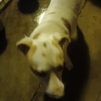 processed/fbe080cc-9b74-4247-87d1-42608ca2c512/listing/0f3f56fe-e2a5-4b5b-8734-21f6336355b3/422ab5d8-2f19-45c3-919b-193e3b747dfc