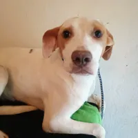 processed/fbe080cc-9b74-4247-87d1-42608ca2c512/listing/0f3f56fe-e2a5-4b5b-8734-21f6336355b3/6922d865-0ae9-449b-a4fe-093e9e1aff39