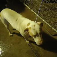 processed/fbe080cc-9b74-4247-87d1-42608ca2c512/listing/0f3f56fe-e2a5-4b5b-8734-21f6336355b3/8706b2d4-890a-4d98-a468-25afc9800af8