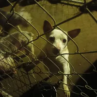 processed/fbe080cc-9b74-4247-87d1-42608ca2c512/listing/19119a9d-70a6-4eb1-978e-0a65005dbe89/53e42a2f-2376-48a8-a44a-fdd89b076f9a