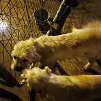 processed/fbe080cc-9b74-4247-87d1-42608ca2c512/listing/1de74055-b45d-411c-81ae-dee3b929c0cb/57bfa4b5-c44a-4b48-932f-739fc3aa68a7