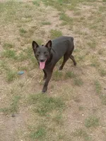 processed/fbe080cc-9b74-4247-87d1-42608ca2c512/listing/48c42165-32c7-40c7-8b1b-bb01e92b4416/718594d3-7d95-485f-8f0b-e04ac2dc6a15