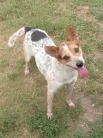 processed/fbe080cc-9b74-4247-87d1-42608ca2c512/listing/51fb09ee-6525-4265-8b52-167d6ed2b2fb/05b16afe-b21a-465a-84d7-e046ad6ceba7