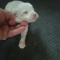 processed/fbe080cc-9b74-4247-87d1-42608ca2c512/listing/53d7e7c0-c905-4fd4-9f2f-ee0410b87297/132d6909-444f-41b1-b494-46f8527b2b20