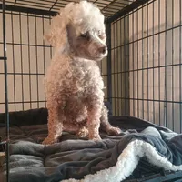 processed/fbe080cc-9b74-4247-87d1-42608ca2c512/listing/53d7e7c0-c905-4fd4-9f2f-ee0410b87297/d5b57b1d-fb22-4808-8d85-e407a6186077