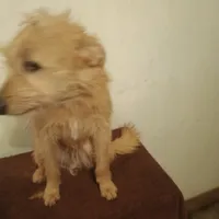 processed/fbe080cc-9b74-4247-87d1-42608ca2c512/listing/7815efae-c74a-4092-9651-81a871b5afd3/032f001c-4543-4966-867b-b09a12534fac