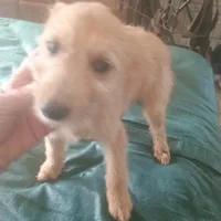 processed/fbe080cc-9b74-4247-87d1-42608ca2c512/listing/7815efae-c74a-4092-9651-81a871b5afd3/3009812c-15a5-4246-995d-65bf86115065