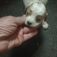 processed/fbe080cc-9b74-4247-87d1-42608ca2c512/listing/7a0e1e8b-45f1-4e59-824e-548ee0d31ed4/5d36ce7f-5e35-45e5-ab02-ebc5d4b9ebf0