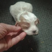 processed/fbe080cc-9b74-4247-87d1-42608ca2c512/listing/7a0e1e8b-45f1-4e59-824e-548ee0d31ed4/ee459501-e2d0-4205-a78e-435dc104689e