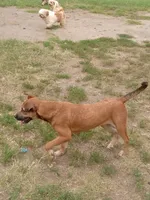 processed/fbe080cc-9b74-4247-87d1-42608ca2c512/listing/ad44119f-c44e-4a5c-9a7d-649475e743ea/b04a8da4-38ae-4cf9-9a23-9131ff6e5675