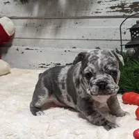 processed/fbe109cf-e2e3-4c34-9a78-06b7351d2d17/facility/0a472d43-942a-4b8f-a221-295d71d496e0