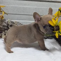 processed/fbe109cf-e2e3-4c34-9a78-06b7351d2d17/facility/0b63c4f2-cffa-4c14-b4c7-29e937eeed67