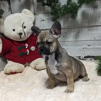 processed/fbe109cf-e2e3-4c34-9a78-06b7351d2d17/facility/0bb8ac72-4406-4adb-8a8a-3766dda67b88