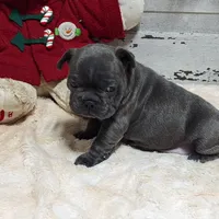 processed/fbe109cf-e2e3-4c34-9a78-06b7351d2d17/facility/3d0999a1-17bc-45d2-94f6-b4ab48dd00bd