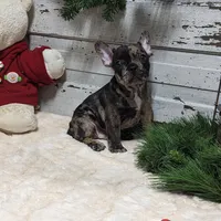 processed/fbe109cf-e2e3-4c34-9a78-06b7351d2d17/facility/5ca74d05-2c93-42ee-9bac-860f9330e9ac