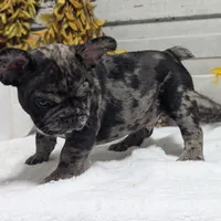 processed/fbe109cf-e2e3-4c34-9a78-06b7351d2d17/facility/ac6593e6-ea52-4e49-bd6c-e6be6241480c