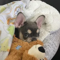 processed/fbe109cf-e2e3-4c34-9a78-06b7351d2d17/facility/c7e33f47-9b4b-4302-950d-63135f921b91