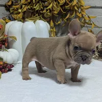 processed/fbe109cf-e2e3-4c34-9a78-06b7351d2d17/facility/ccd17311-ce27-409c-a091-4f82d74aaadc