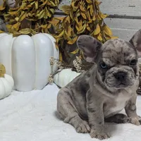 processed/fbe109cf-e2e3-4c34-9a78-06b7351d2d17/facility/ea24de37-24ab-4cb4-9820-dab4f577aed0