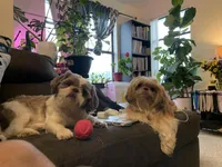 processed/fbe5b255-ad48-44b8-b82b-d42f63c4925f/facility/16aa8fd1-a2ce-499c-8a07-46351745921f