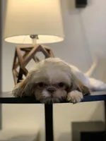 processed/fbe5b255-ad48-44b8-b82b-d42f63c4925f/facility/748d3a57-815e-4279-9ba1-d088a395c3ce