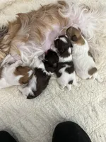 processed/fbe5b255-ad48-44b8-b82b-d42f63c4925f/facility/7e2405ef-6894-4fcb-a685-25c7877c0365