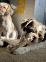 processed/fbe5b255-ad48-44b8-b82b-d42f63c4925f/facility/9f99da70-016e-4d47-a8f5-a760241500c2