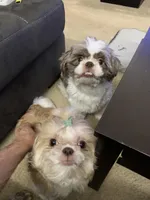 processed/fbe5b255-ad48-44b8-b82b-d42f63c4925f/facility/a123e2a9-bd7a-4398-b60c-c6a595d9298d