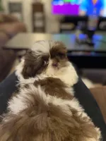 processed/fbe5b255-ad48-44b8-b82b-d42f63c4925f/facility/d440eb9b-95f8-4ec8-98ca-c3a3bb369568