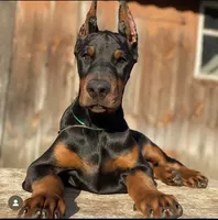 processed/fbe98732-3813-466f-a4e6-5071fb313138/facility/4fa47e9d-9f26-4481-a5b0-1c145828550c