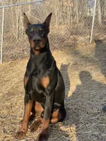 processed/fbe98732-3813-466f-a4e6-5071fb313138/facility/6d34a0d7-7f5d-4820-8371-cb31ff2d1d92