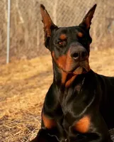 processed/fbe98732-3813-466f-a4e6-5071fb313138/facility/7ddce7c7-566b-4b05-a8fe-e978247fcf20