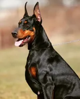 processed/fbe98732-3813-466f-a4e6-5071fb313138/facility/c04e1ed1-3720-4597-8ade-2177cd1017a1