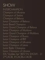 Hunter, a male Doberman Pinscher for sale in Barnett, MO – Photo 7 of 9