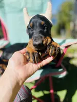 processed/fbe98732-3813-466f-a4e6-5071fb313138/listing/a637a6fc-c88c-49ec-942a-4793176ab090/1299a070-e234-46da-a663-d2d26af5ec03