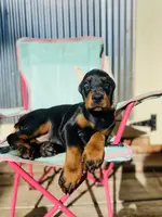 processed/fbe98732-3813-466f-a4e6-5071fb313138/listing/a637a6fc-c88c-49ec-942a-4793176ab090/18b91696-2d76-46d7-b775-bdd173a7fb27