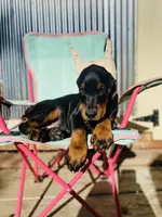 processed/fbe98732-3813-466f-a4e6-5071fb313138/listing/a637a6fc-c88c-49ec-942a-4793176ab090/367ae39a-f12b-42bf-8aec-b714845005f3