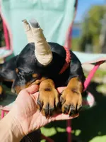 processed/fbe98732-3813-466f-a4e6-5071fb313138/listing/a637a6fc-c88c-49ec-942a-4793176ab090/5a9a1ba5-6d2d-4abf-a48c-4e945b1d461b