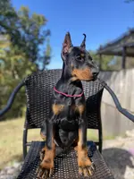 processed/fbe98732-3813-466f-a4e6-5071fb313138/listing/a637a6fc-c88c-49ec-942a-4793176ab090/6680b45a-3bc3-4613-a89f-bb5301af1454