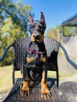 processed/fbe98732-3813-466f-a4e6-5071fb313138/listing/a637a6fc-c88c-49ec-942a-4793176ab090/c866ef8c-79c5-4000-b858-a9a6a4b30829