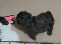 processed/fbf7abf8-89d0-4498-b5ae-b1fb6b237225/listing/1d432209-d794-4ca8-8a1f-1b31f2265451/cb6e5c8d-5d13-4716-9371-a3ba143132bf