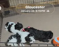 processed/fbf7abf8-89d0-4498-b5ae-b1fb6b237225/listing/1d432209-d794-4ca8-8a1f-1b31f2265451/d607387f-c118-4a6a-a1e8-d02231e51dde