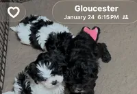 processed/fbf7abf8-89d0-4498-b5ae-b1fb6b237225/listing/1d432209-d794-4ca8-8a1f-1b31f2265451/faa73aeb-d07f-4dfb-9035-e46e6f4ca645