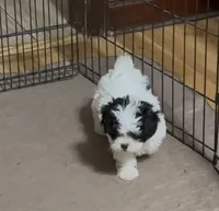 processed/fbf7abf8-89d0-4498-b5ae-b1fb6b237225/listing/6abcc973-be44-4ca6-b55e-a4fd51b50769/15d4cce0-0d14-4f9a-92da-69a95bf9f71c