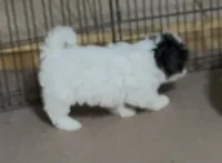 processed/fbf7abf8-89d0-4498-b5ae-b1fb6b237225/listing/6abcc973-be44-4ca6-b55e-a4fd51b50769/b2be0418-825e-40bb-8e31-e29c5da759b8