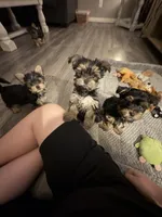 processed/fc006f17-8fcc-4063-ade9-d889bf46909c/facility/8f450ca8-21f3-4d8e-91c9-9fafdd1a64c1