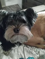 processed/fc006f17-8fcc-4063-ade9-d889bf46909c/facility/c2ce1eba-4cf8-4d64-81d7-2db2f8c8e85b