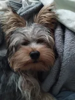 processed/fc006f17-8fcc-4063-ade9-d889bf46909c/facility/ffa97c2a-d5a3-43a2-8d43-2b4d5d4fd73d