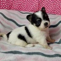 processed/fc04658a-1313-44c6-9a7c-fe09603c6d1f/facility/1fc7ac54-5947-4778-833d-e4aeaa2644a4